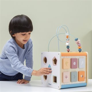 8-in-1 activity cube

